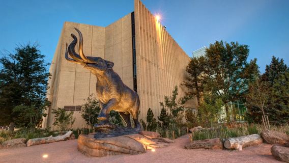 Denver Museum of Nature & Science + Big Blue Bear + Botanic Gardens + Red Rocks Park※custom trip