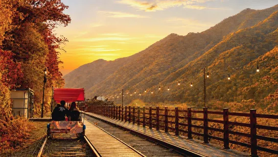 Nami Island + Gangchon Railbike One Day Tour (Depart from Seoul)