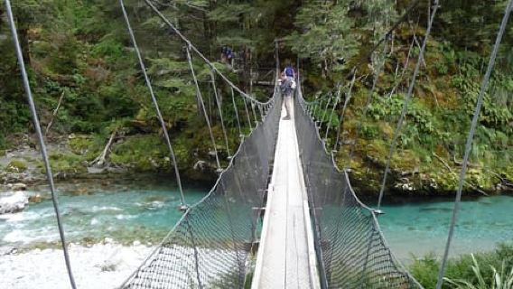 Queenstown: Routeburn Track Guided Full-Day Walk or Half Day