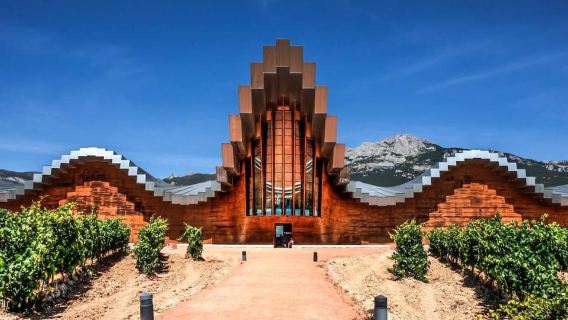 Semi-Private La Rioja Tour of 3 Premium Wineries from Bilbao