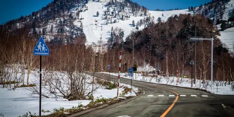 札幌來回-登別地獄谷-小樽運河- 熊牧場包車,行程可調