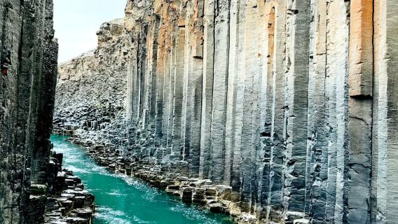 Iceland - Reykjavik - Melihat Paus - Lawatan Bandar - Sewaan Peribadi Bahasa Cina - Pelancongan Santai