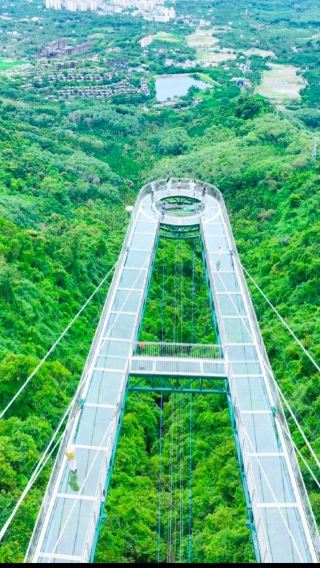 [Private car] Yanoda Tropical Rainforest admission ticket + cable car combo + glass platform + buffet