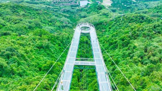 [Traslado privado] Entrada al bosque tropical Yanoda + teleférico + plataforma de cristal + buffet