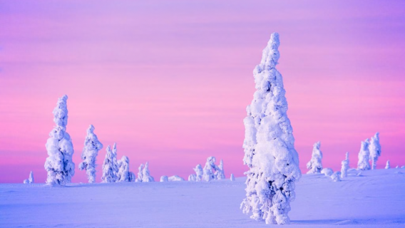 Finlandia Rovaniemi Tur Snowmobile + Memancing di Danau Es + Piknik di Hutan Lapland
