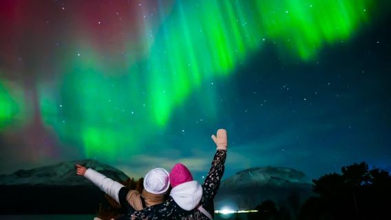 Norwegian Tromsø northern lights night tour | professional aurora hunter guide | high success rate | free photos
