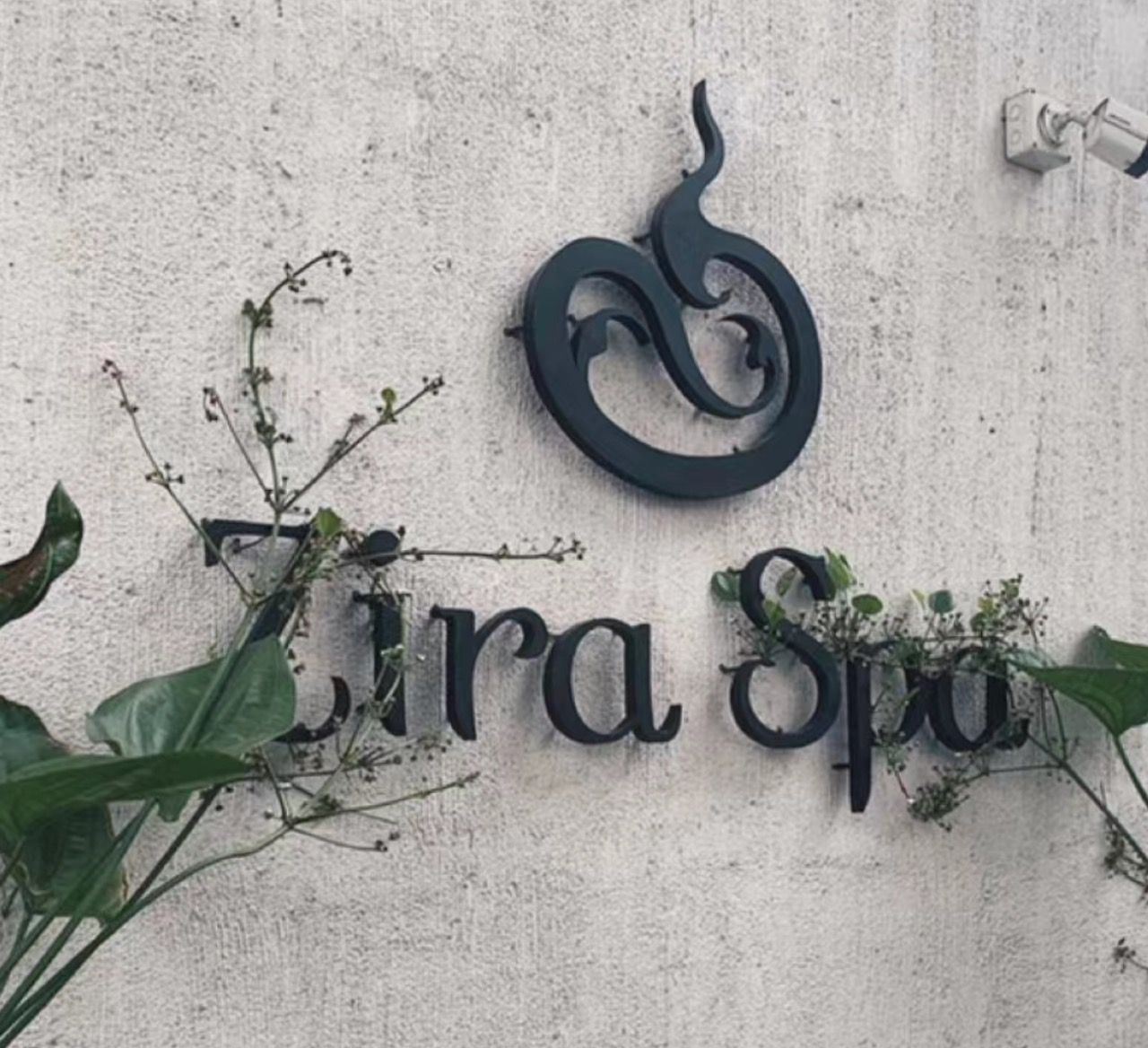 Zira SPA เชียงใหม่ ได้รับคำชมเชยสูงสุด โจวเหวินฟะเคยแวะมาเยือน จองแบบส่วนตัว พร้อมส่วนลดพิเศษ