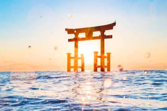 One-day tour to Lake Biwa + Shirasu Shrine in Shiga Prefecture, Japan