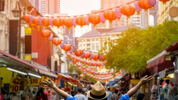 Kuala Lumpur: Private Half-Day Batu Caves and Cultural Tour