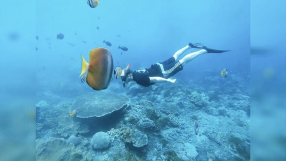 印尼峇里島島佩妮達島+Manta Bay體驗潛水浮潛2小時【魔鬼魚+可選2/3/4次浮潛+集合出發+可選共船/包船】