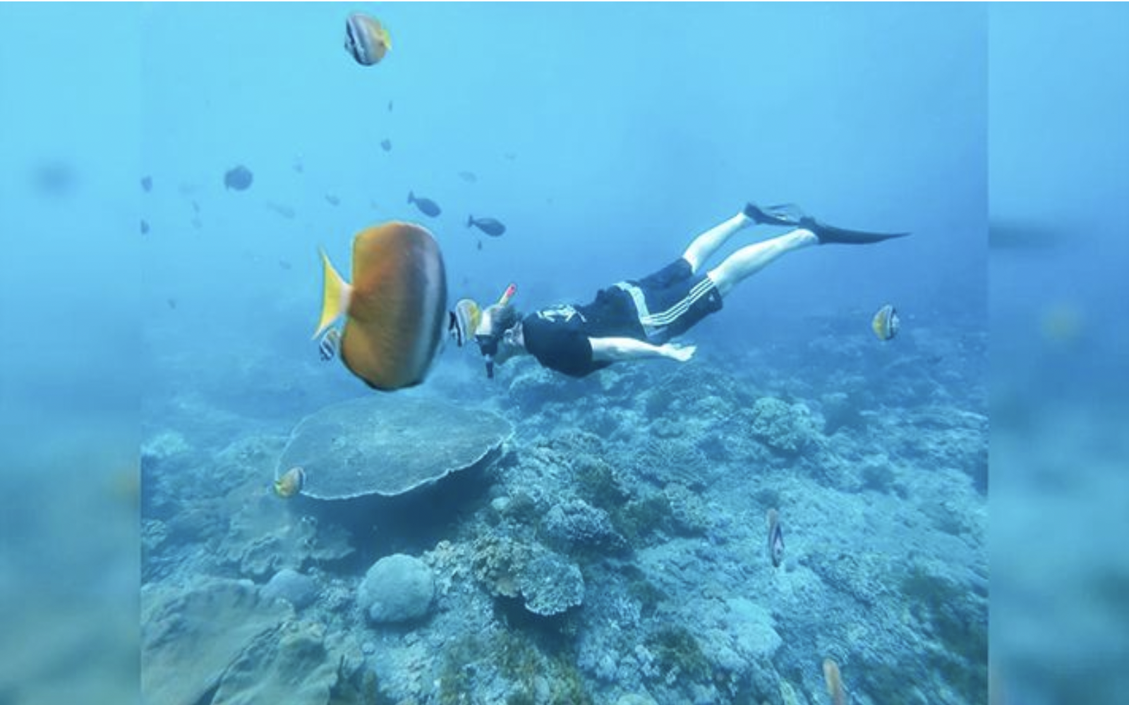 Bali, Indonesia Penida Island + Manta Bay + Gamat Bay + Crystal Bay Nusa Penida + SD Point, Diving spot + Manta Point diving and snorkeling experience 2 hr [Manta rays + optional 2/3/4 snorkeling sessions + group departure + optional shared/private boat]