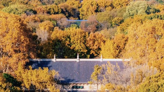 Nanjing: Presidential Palace + Confucius Temple + Niu Shou Mountain + Xuanwu Lake attractions with customizable guide and private charter G