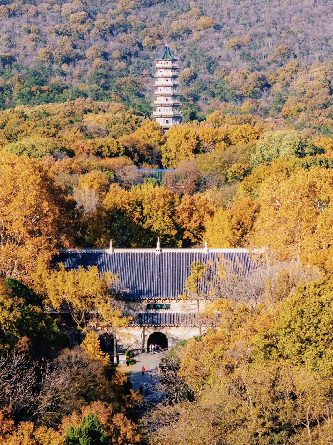 南京：大統領府+孔子廟+牛首山文化観光地+玄武湖  観光地はカスタマイズ可能、ガイド付き貸切チャーターG