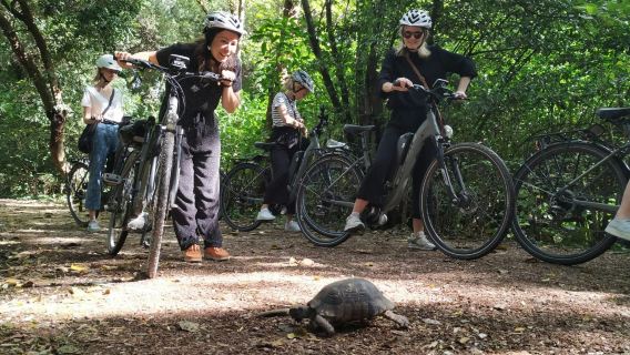 ทัวร์ปั่นจักรยานไฟฟ้าชมเมืองเอเธนส์พร้อมไกด์