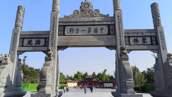 Luoyang White Horse Temple + Emperor's Six-carriage Museum + Ruins Botanical Garden one-day tour- English Service Available