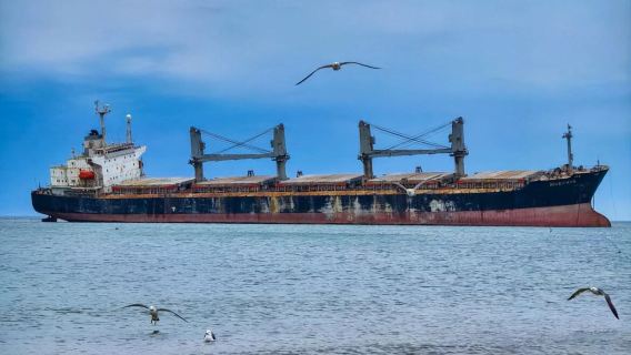 Weihai Chengshantou + Motianling + Naxianghai + Blue Sea Beach one-day tour- English Service Available