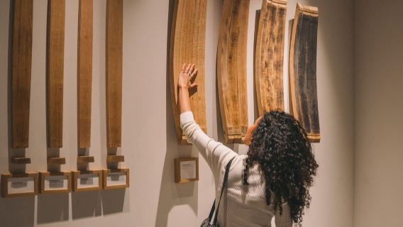 WOW Porto Wine School: Personalized Tasting + The Wine Experience Entry