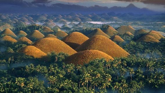Expérience approfondie de l'île de Bohol | Collines de chocolat + Tarsier + Rivière Lobo + Ferme apicole + Lucioles