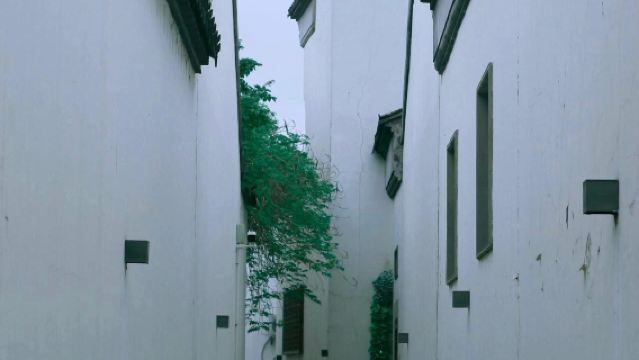 Changshu 1-day tour with private charter: Shajiabang + Guli Ancient Town + Changshu Confucian Temple + Fang Tower Park (Chinese and English services available)