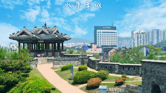 Suwon