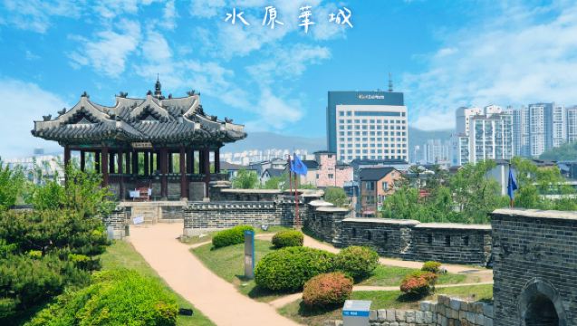 Korean Folk Village X Suwon Hwaseong Fortress X Jebudo Sea cable car |Depart from Seoul