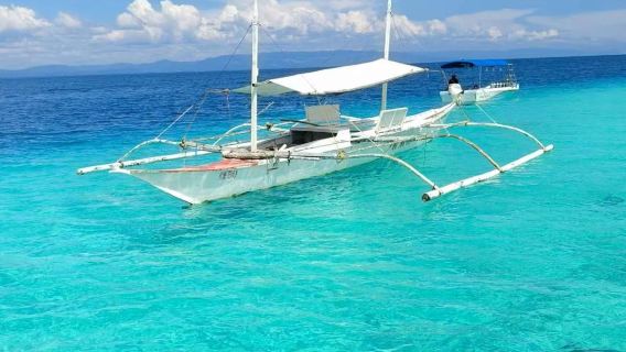 tour di un giorno per osservare i delfini a Bohol e fare snorkeling all'isola di Pamilacan|Trasferimento andata e ritorno|Veicoli e imbarcazioni indipendenti