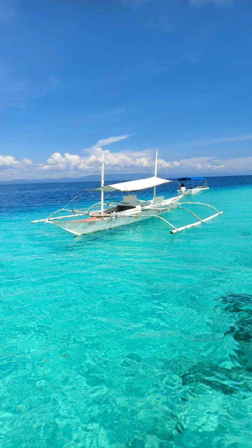Dolphin Watching + Pamilacan Island Snorkeling Day Tour in Bohol Island, Philippines|round-trip transfer|Independent vehicles and boats