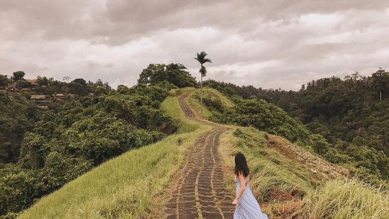 Bali Nature Escape: Lovina Dolphins, Campuhan Ridge & Ayung Rapids