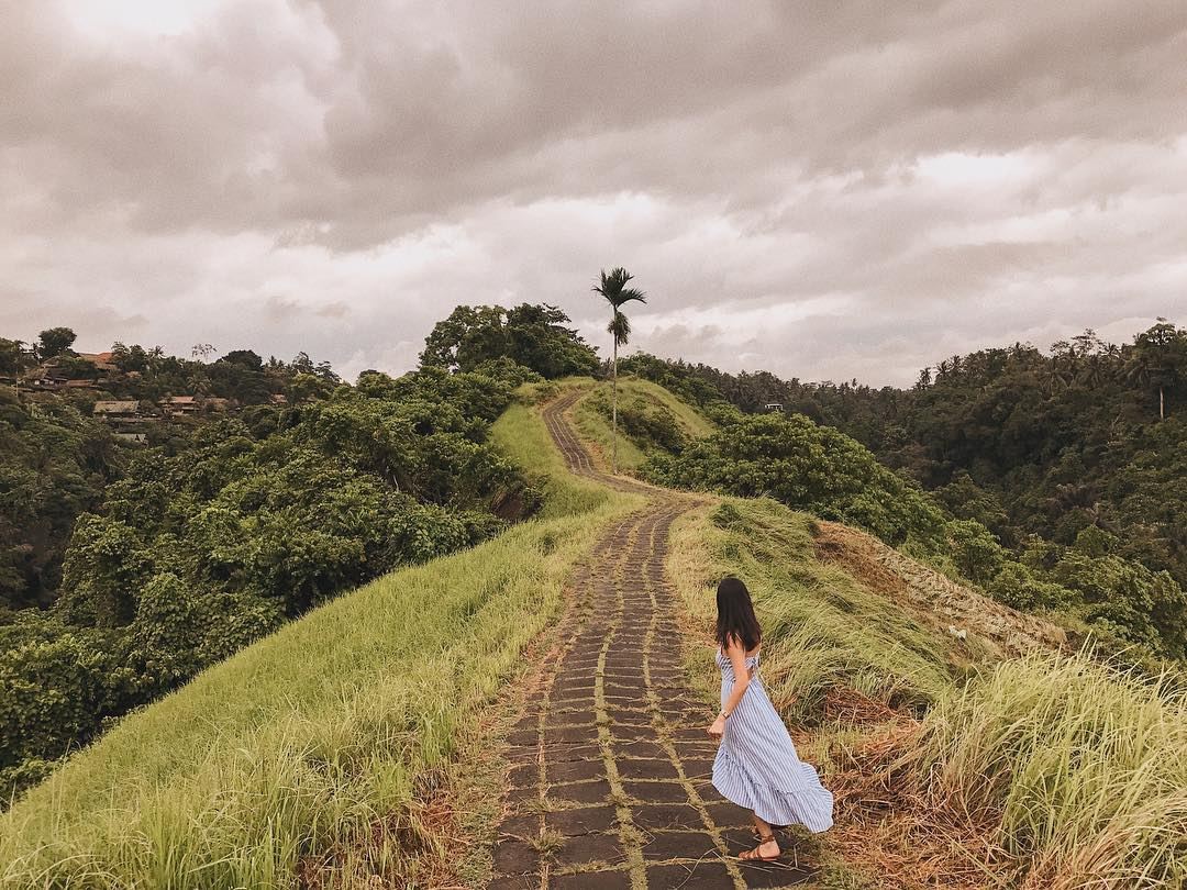 Bali Nature Escape: Lovina Dolphins, Campuhan Ridge & Ayung Rapids