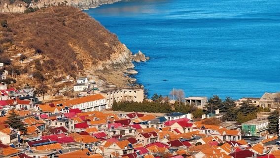 嶗山風景區一日遊【包車私人訂製/上門接駁/可趕海當天安排】