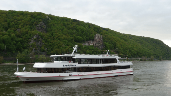 RudesheimTours