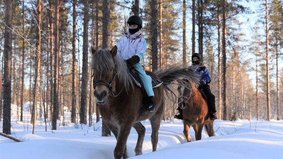 Levi: Snowy Forest Ride and Polar Lights Tours
