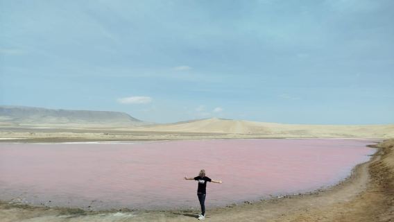 Vom Hafen von San Martin: Insel Ballestas und Paracas-Reservat