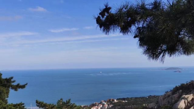 Laoshan Scenic Spot Yangkou + Taiqing 1-day tour/Single adult/99 Lunar New Year