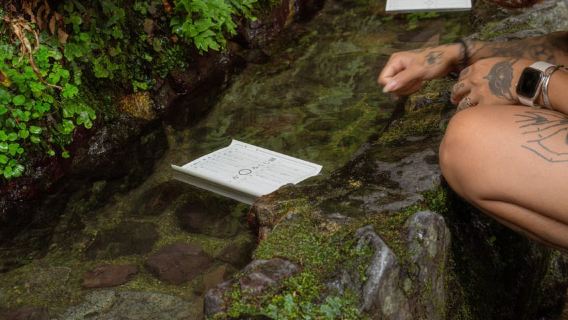 Kyoto: escursione e sorgenti termali a Kurama