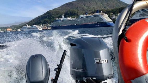 Ketchikan: Orca Cove Fast Boat and Sea Kayak Tour