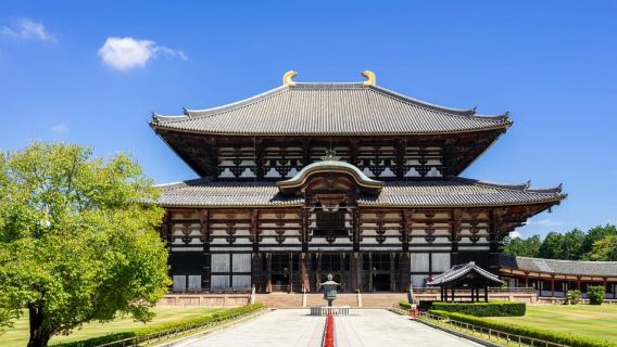 Nara: Enjoy the Highlights of Nara in 3 Hours