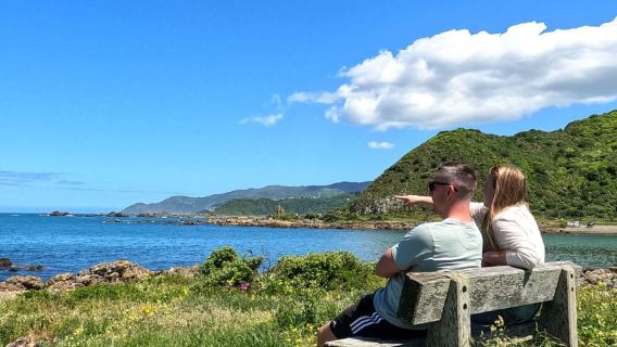 Wellington: Geführte Stadtrundfahrt mit Seilbahnticket