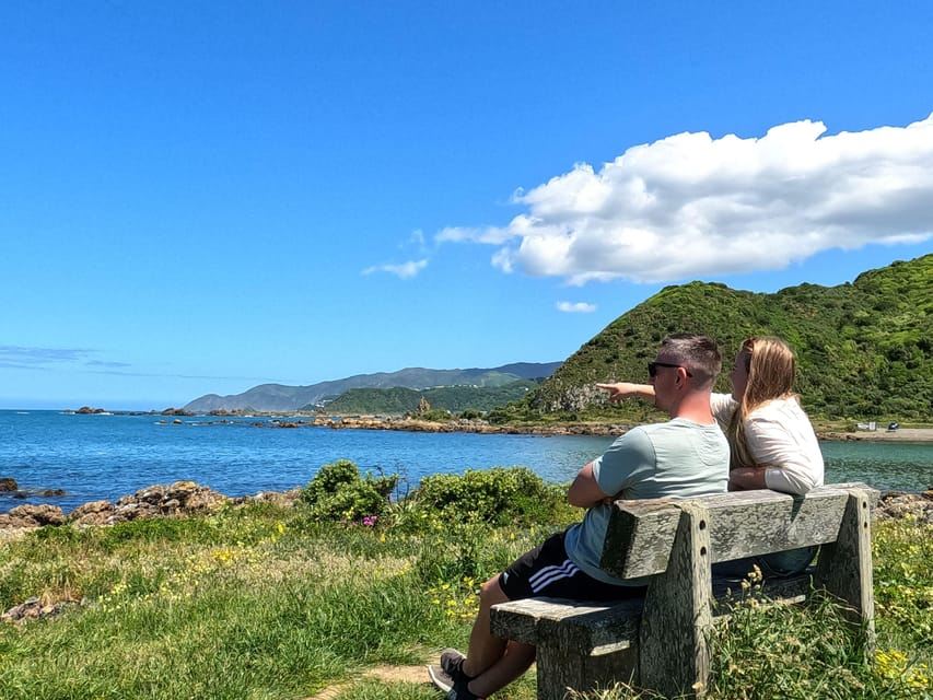 Wellington: visita guidata della città con biglietto per la funivia