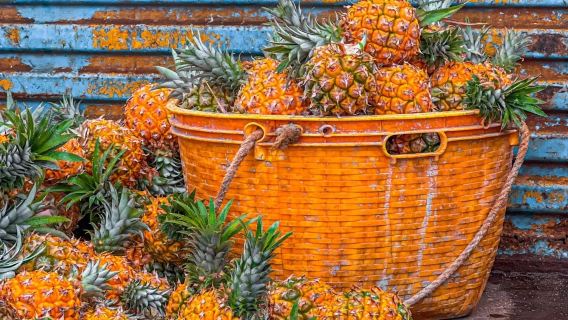 湛江徐聞包車10小時一天遊/快速打卡鳳梨的海+南極村+合水線