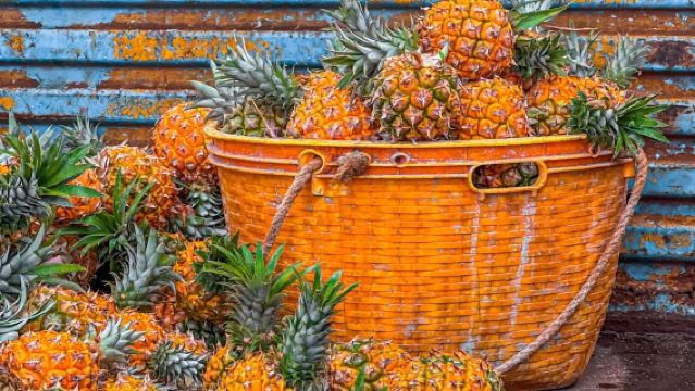 Lawatan sehari kumpulan kecil kongsi kenderaan dari Zhanjiang ke Kaunti Xuwen|Tempahan untuk 1 orang|Setiap Hari Ada Kumpulan|Tawaran Perayaan Tahun Baru Cina