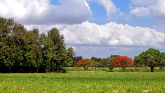 Moshi: Sugar Plantation Bike Tour
