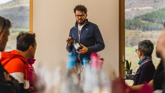 Monte Baldo: Tour e Degustazione di Vini Biologici di Montagna