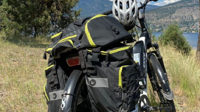 Kelowna: Okanagan Lake Guided E-Bike Tour with Picnic