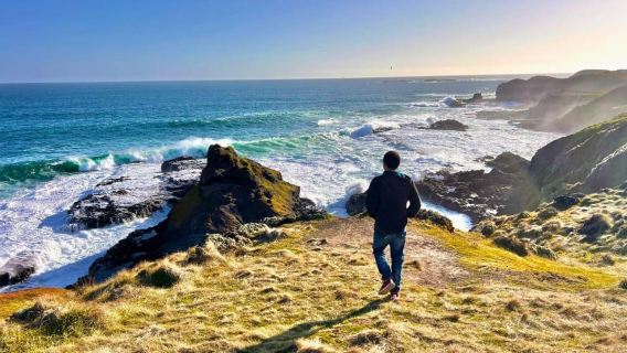 Excursión vespertina al desfile de pingüinos de Phillip Island desde Melbourne