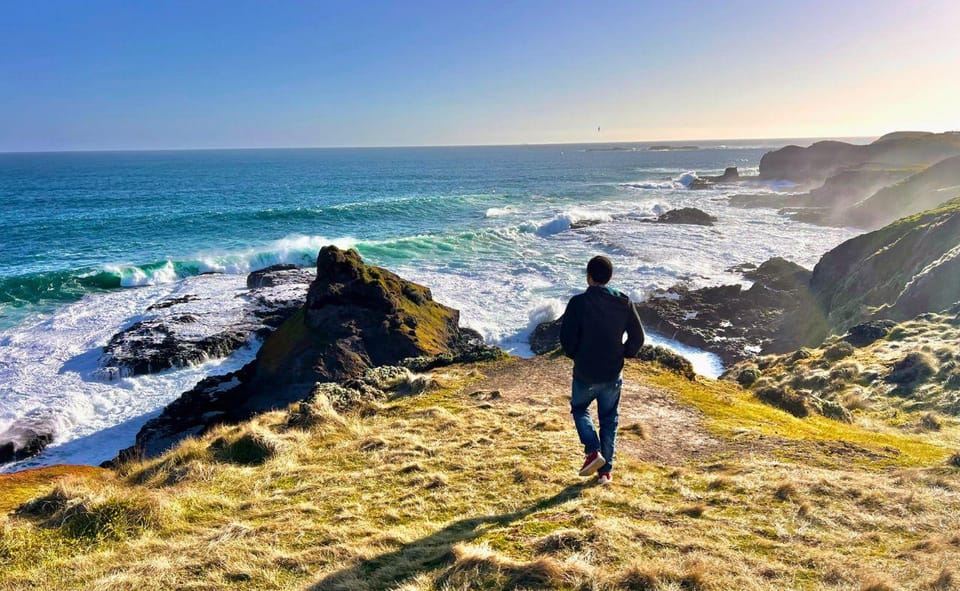 メルボルン発フィリップ島ペンギンパレード午後ツアー