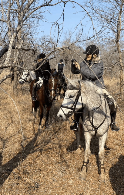 Franschhoek: Ganztägige Reittour mit Weinverkostung