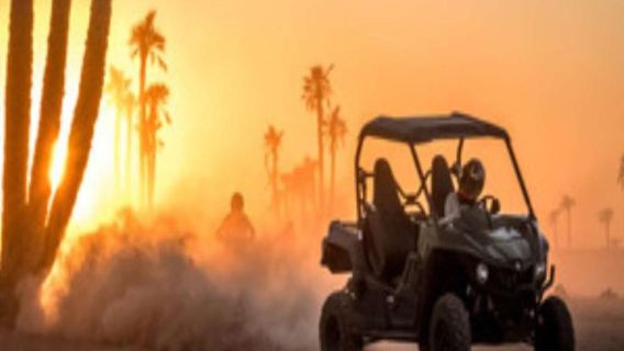 Buggy Ride Adventure with Moroccan Tea Tasting - Half-Day Tour