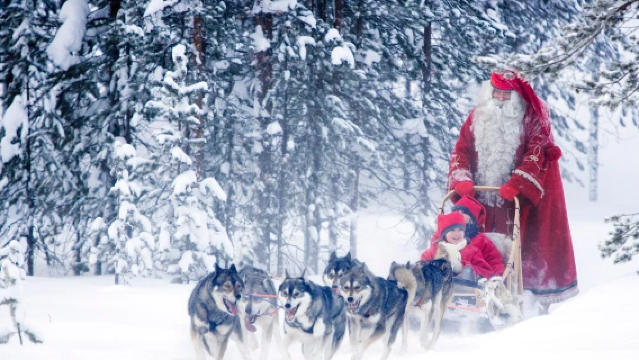 フィンランド・ラップランド スノーモービル+ハスキー & Co【英語ガイド|2-4名催行】