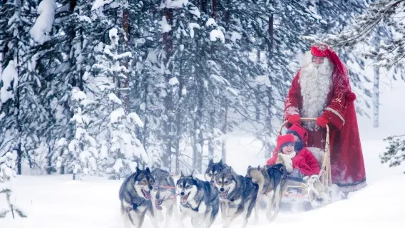 Lapland snowmobile + Husky & Co tour [English-speaking guide | 2-4 person group]